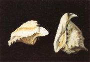Napoletano, Filippo Two Shells oil painting reproduction